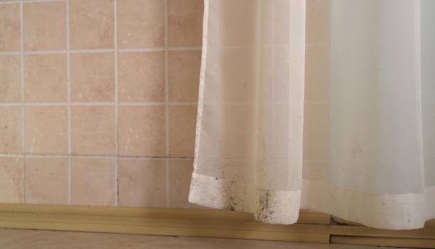 Best Dehumidification Services  in Brewster Hill, NY