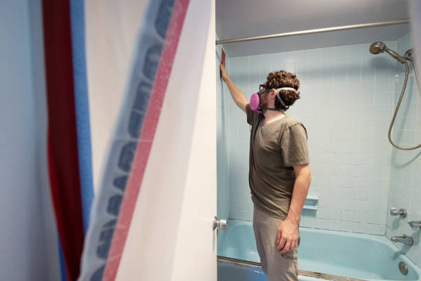 Reliable Brewster Hill, NY Mold Removal Solutions